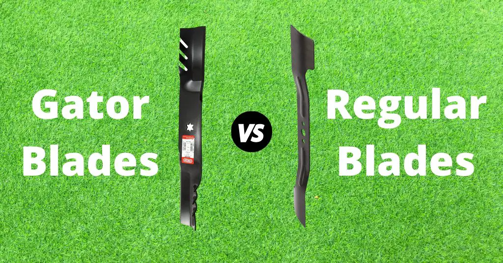 Gator Blades vs Regular