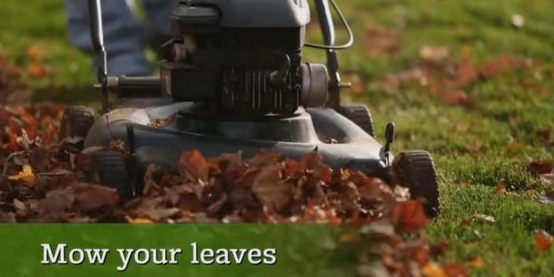 How to Mulch Leaves With a Mower?