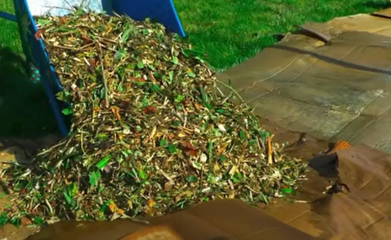 Spread and compost mulch over newspaper