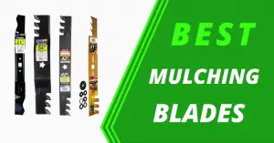 Best Mulching Blades for Lawn Mowers (Universal and Compatible)