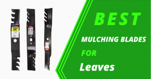 Best mulching blades for leaves