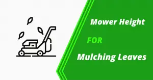 Mower Height for Mulching Leaves