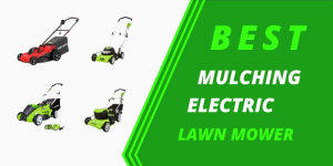 Best Mulching Electric Lawn Mower