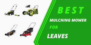Best leaf mulching lawn mowers