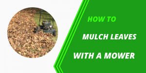 Mulching Leaves With Lawn Mower