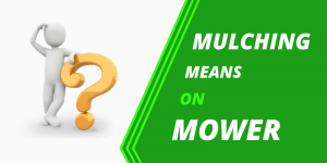What Does Mulching Mean on Lawn Mower