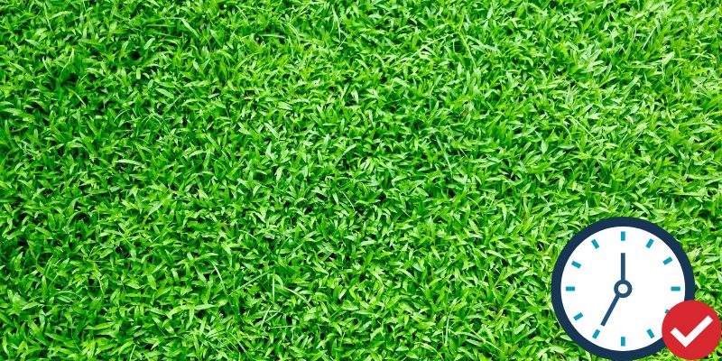when to mulch lawn