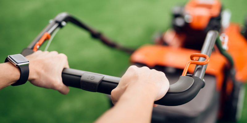 how often should i mulch my lawn