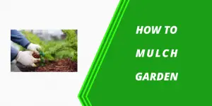 How to Use Mulch in Garden