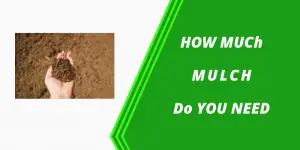 How much mulch do I need for my garden