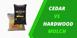CEDAR vs hardwood mulch