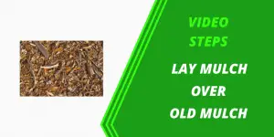 How to Lay Mulch Over Old Mulch