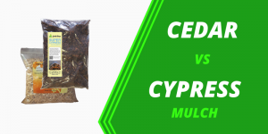 Cedar Mulch vs Cypress Mulch