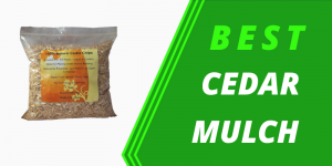 Best Cedar Mulches