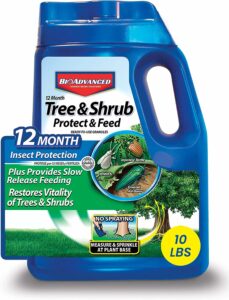 bioadvanced tree protect 12 months shrub